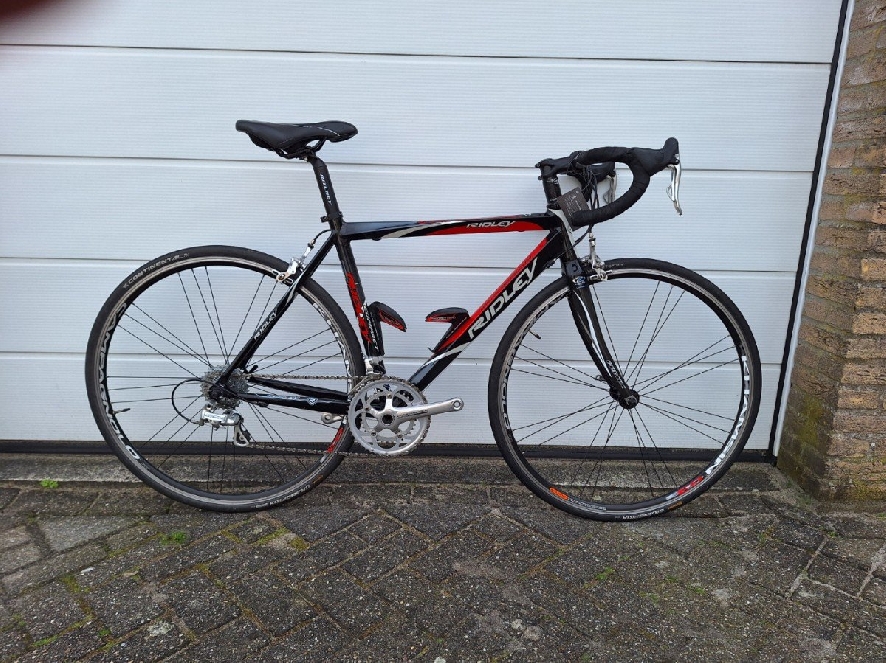 Ridley compact, zwart/rood/wit